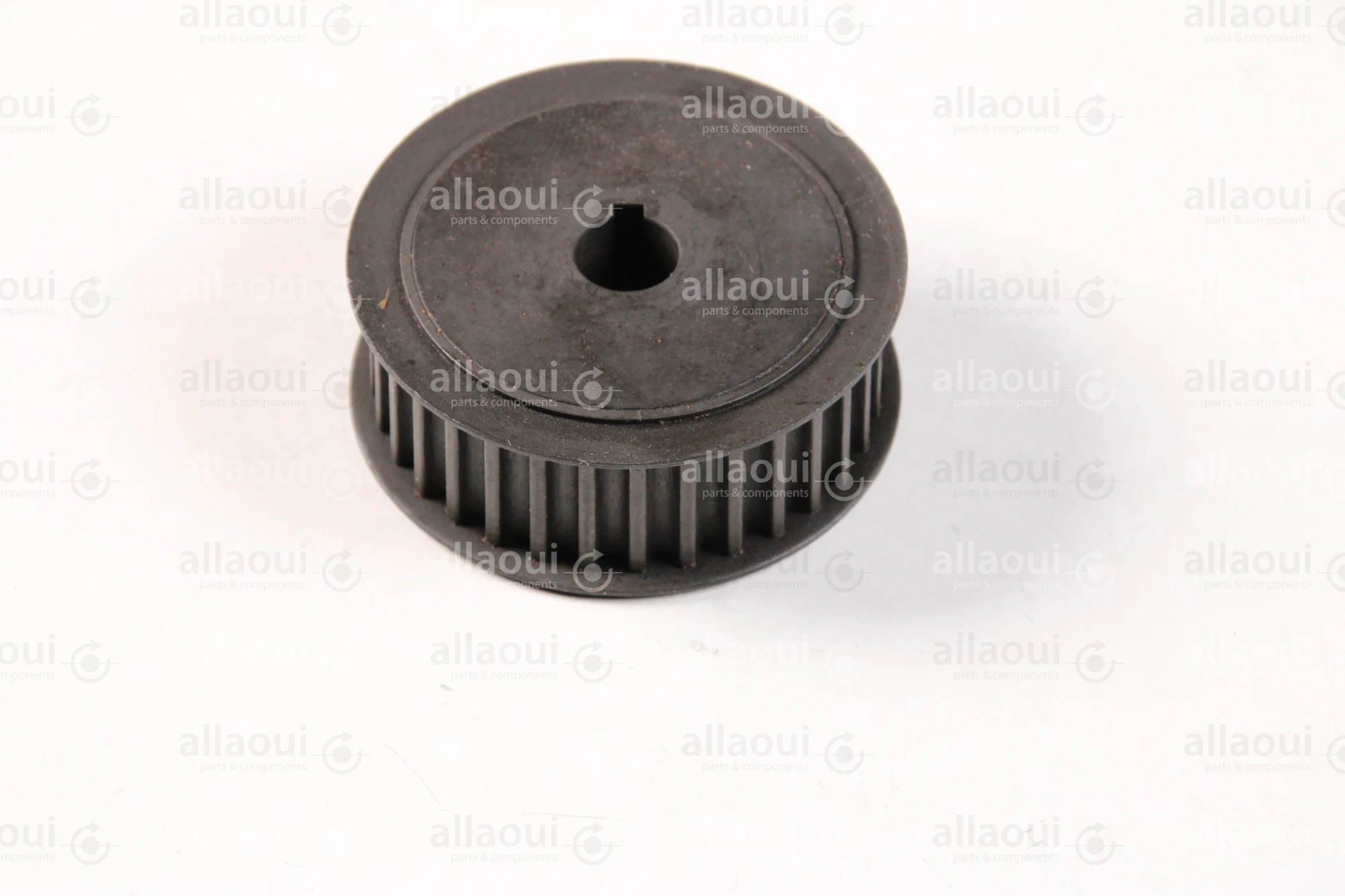 RIMA System Pulley 500621331
