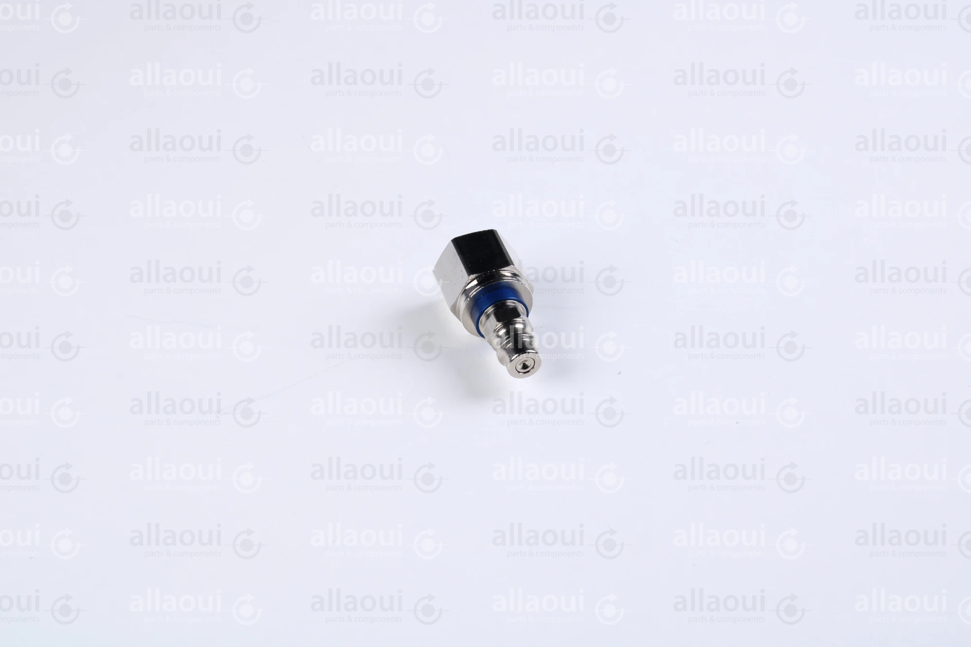 Parker Quick Release Coupling male blue 26SFIW13MXN6