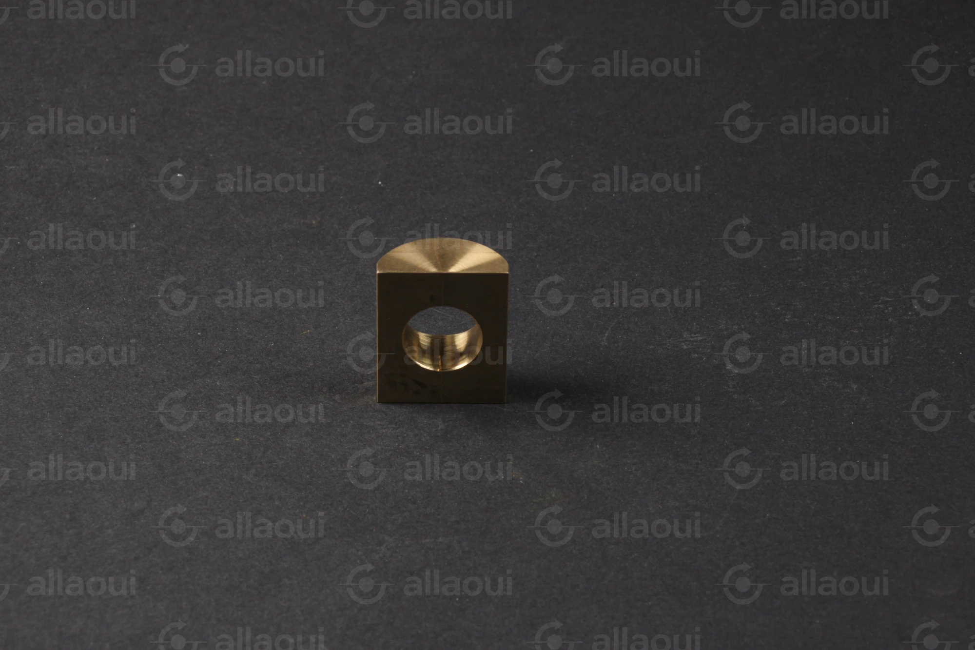 Manroland Segment 16.31440-0004