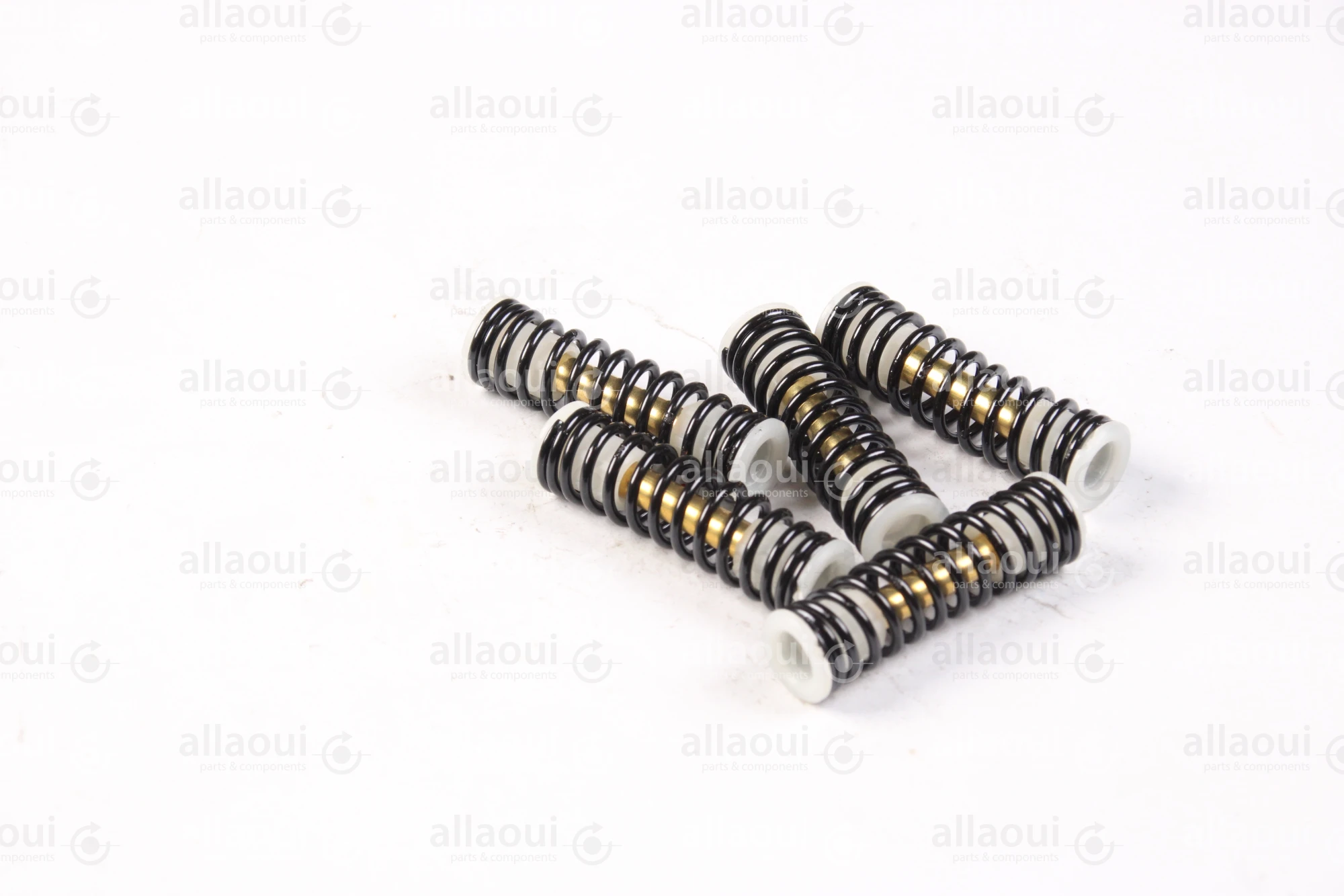 Technotrans Spring TTS-Paint Valve (5 Pieces) 0011205