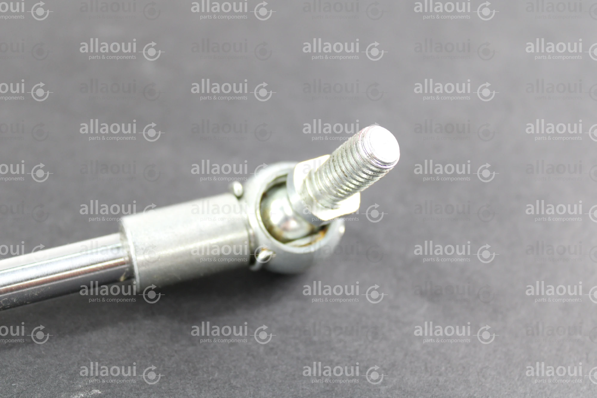 SACK Gas Spring 0M4855100