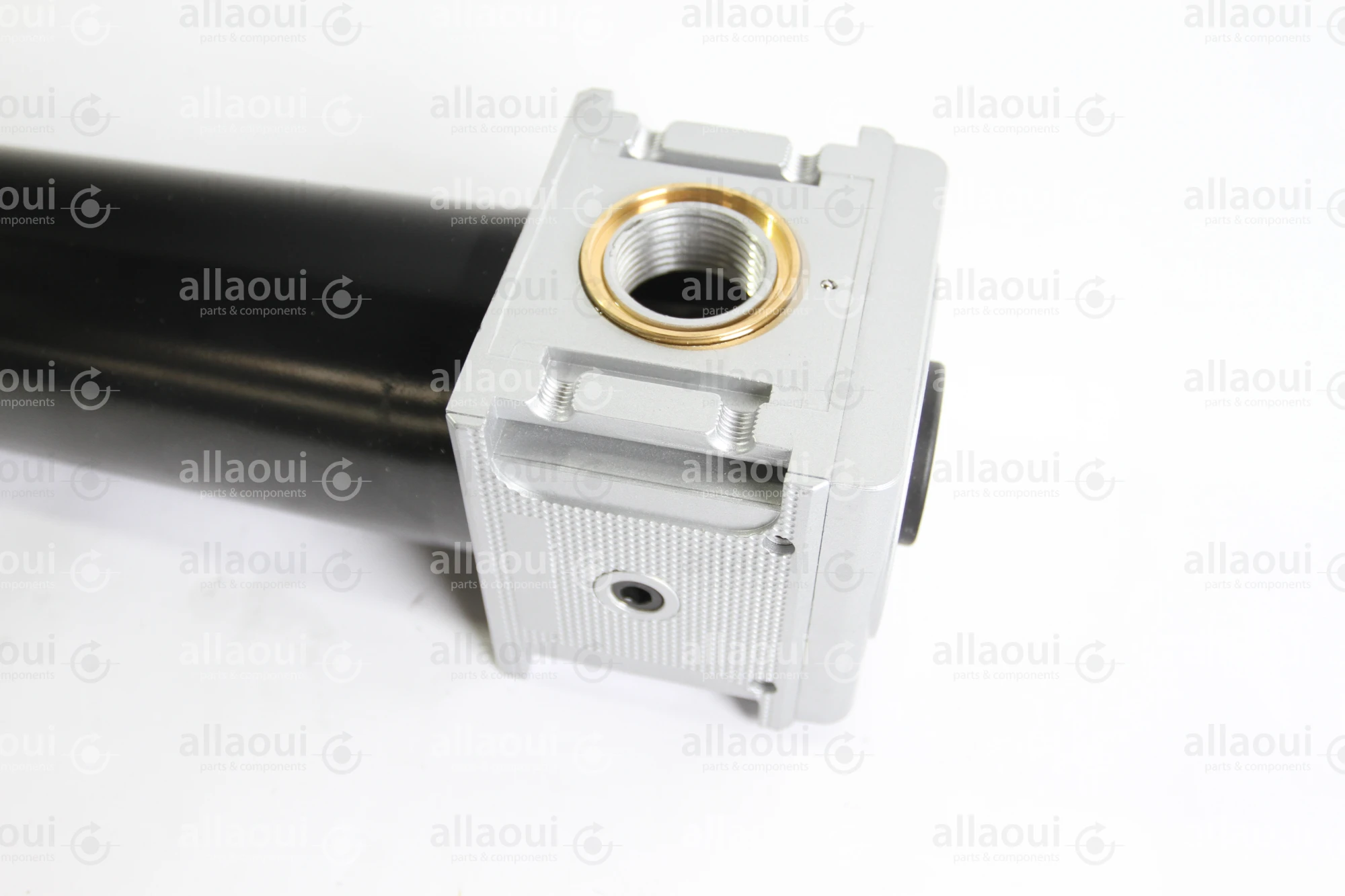 Landefeld MULTIFIX Microfilter (sub-microfilter) G 1" / Multifix 5 FX 10 MB AM