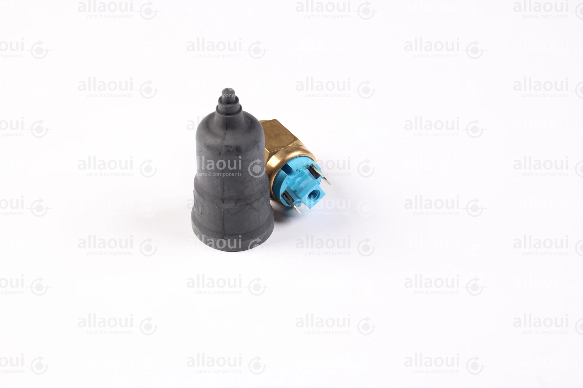 Elettra Pressure Switch 2000981-00