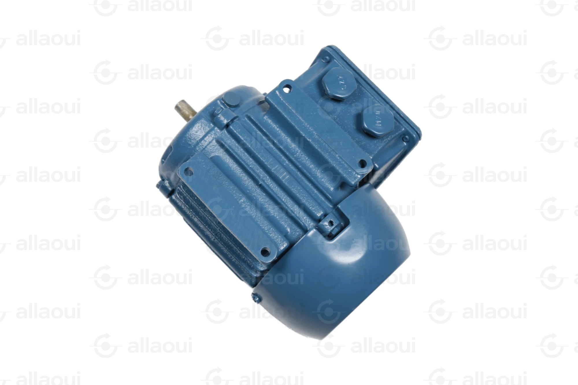 Weg Motor W22