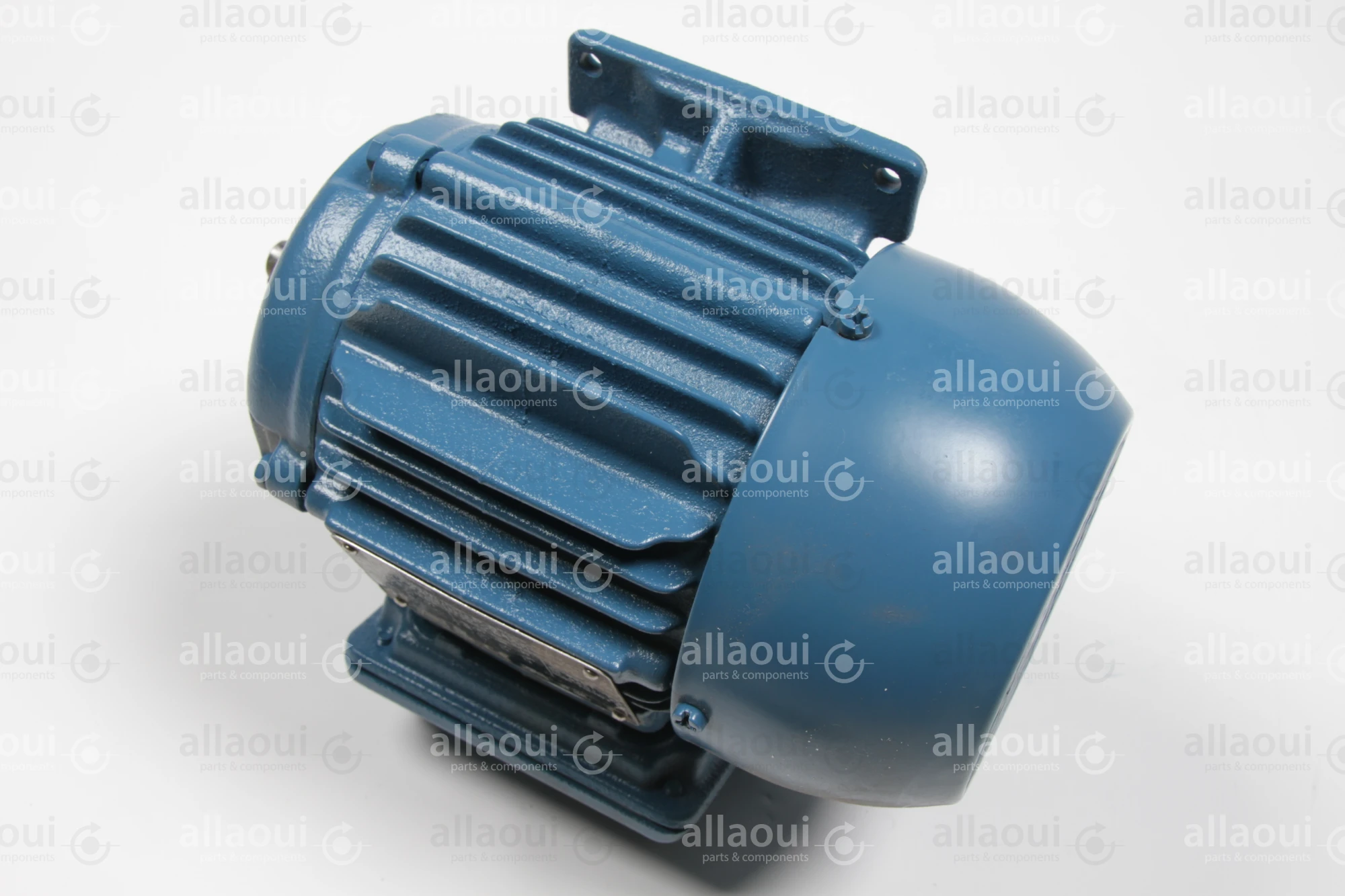 Weg Motor W22