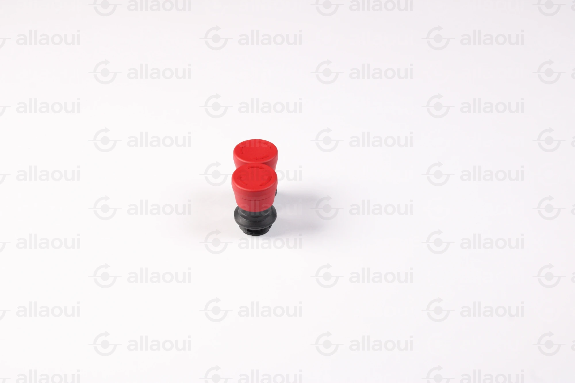 Rafi Emergency Stop Switch RAFIX-22-FS+