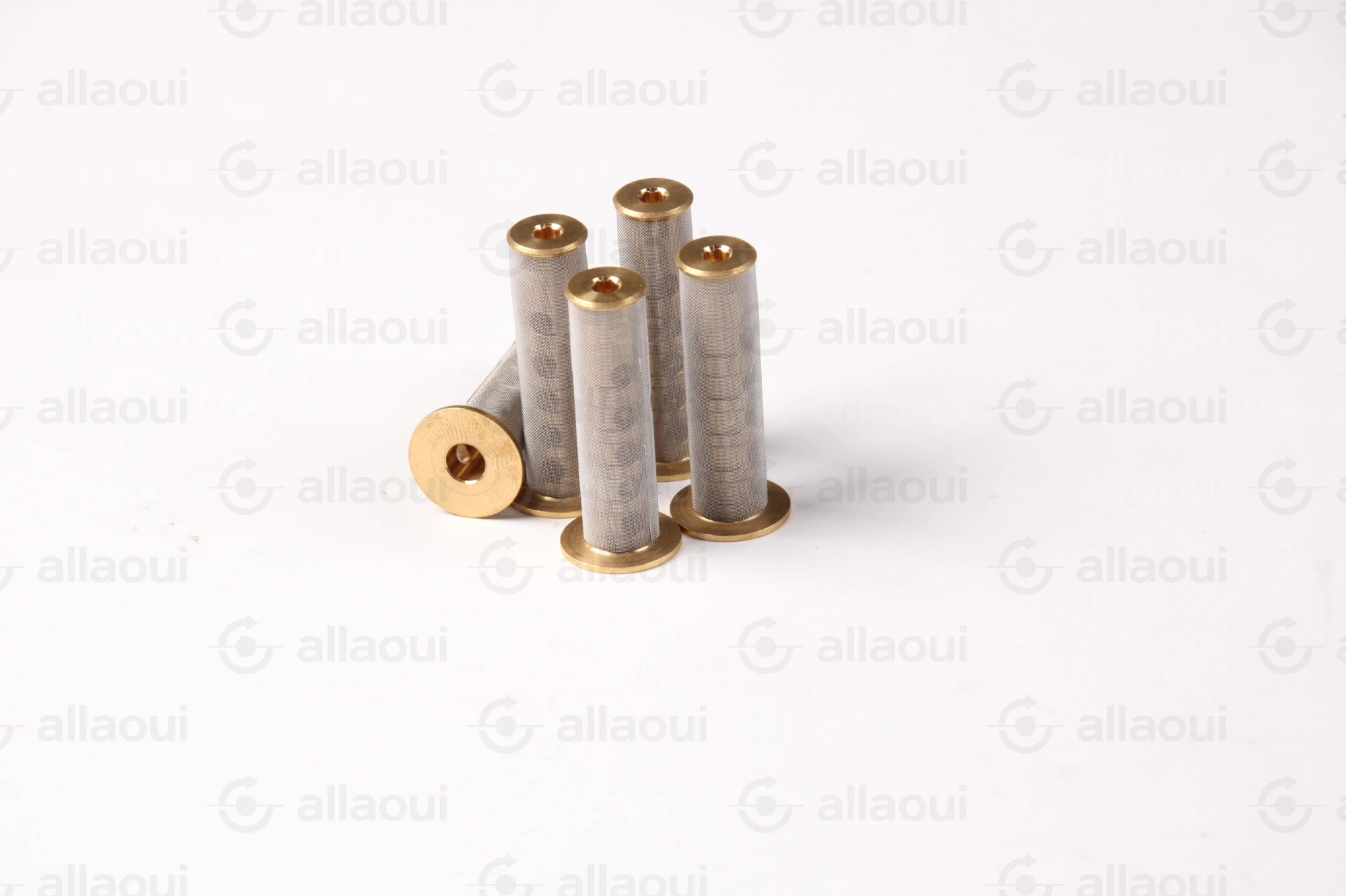 Elettra Mesh Filter (5 Pieces) 9000218-00