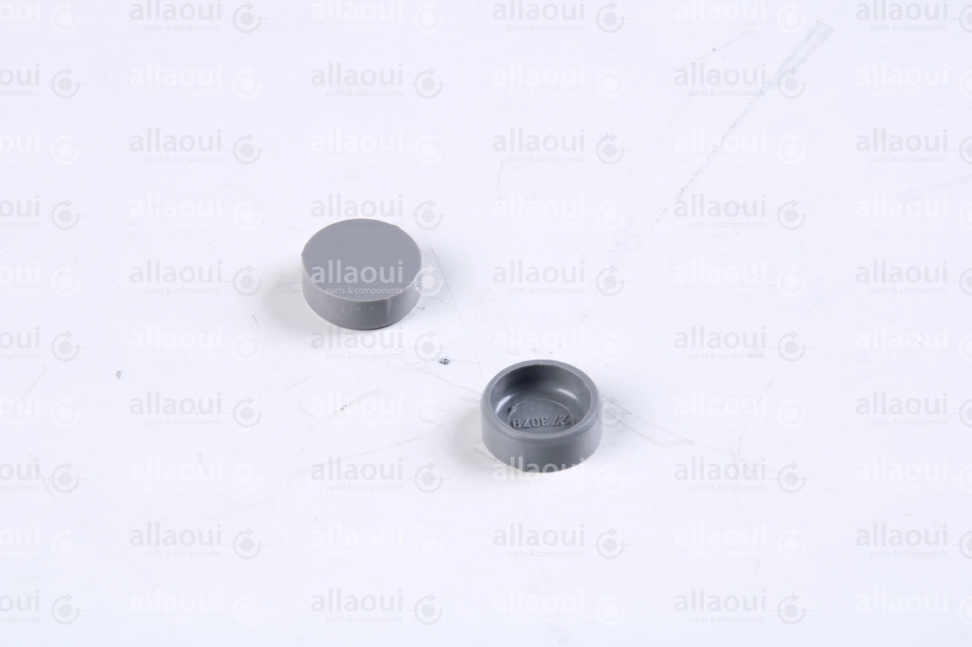 Heidelberg Closing plug (2 Pieces) ZA3273079