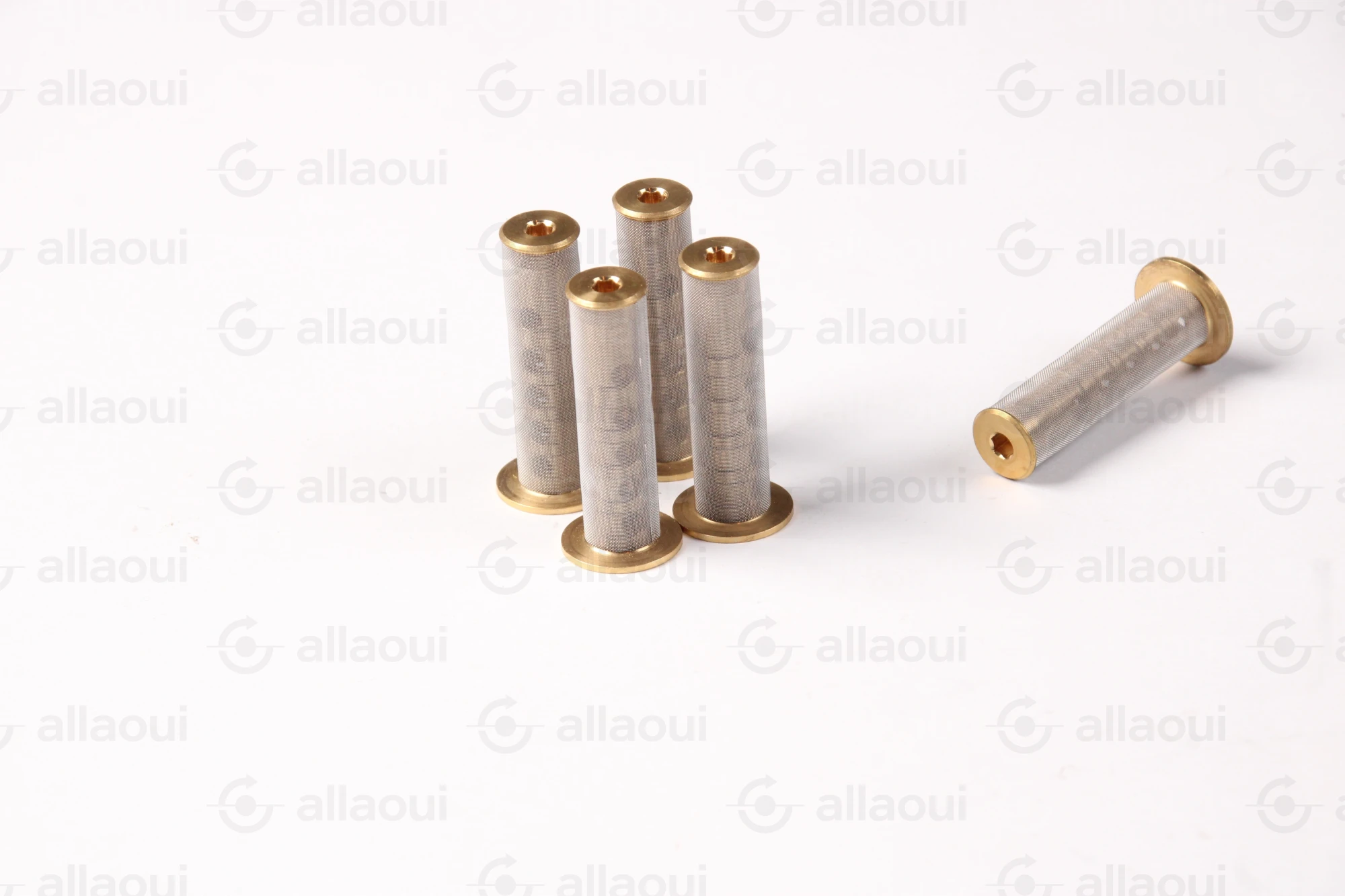 Elettra Mesh Filter (5 Pieces) 9000218-00 Elettra Mesh Filter (5 Pieces) 9000218-00