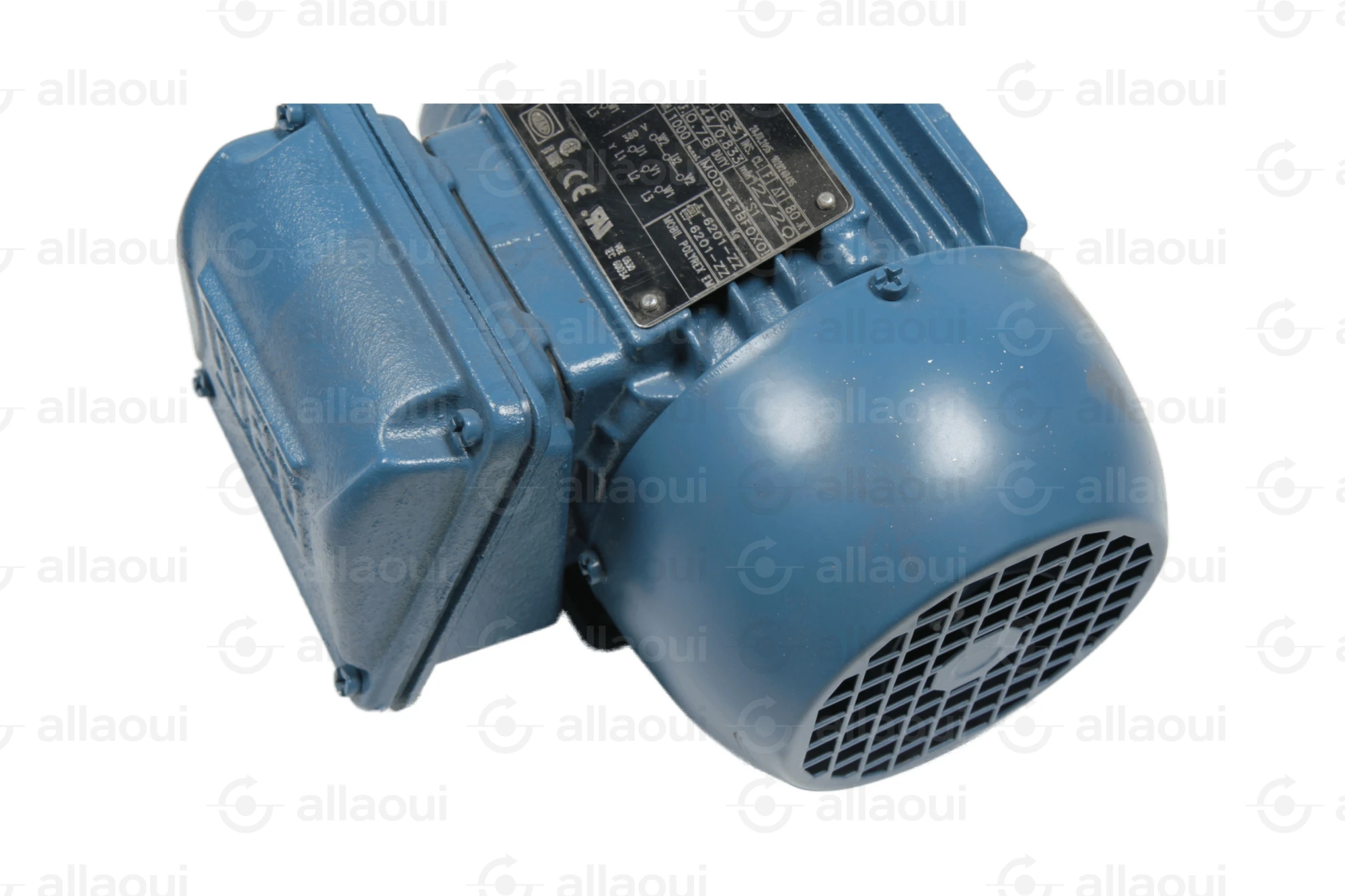 Weg Motor W22