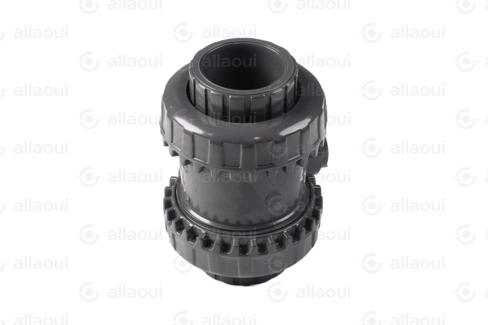 FIP Ball Check Valve ACS-NSF61