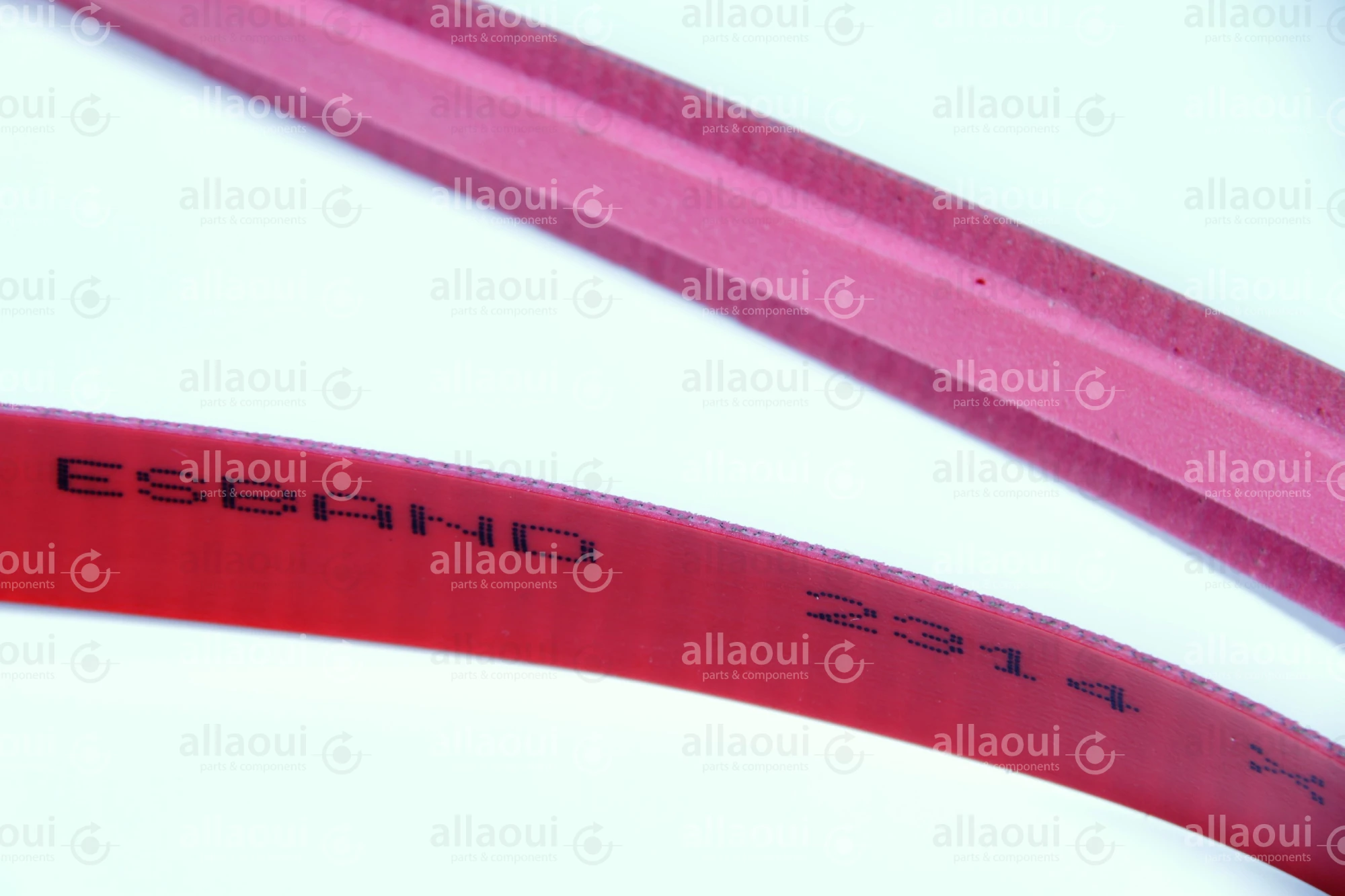MBO Transport Belt 10.6400.0349
