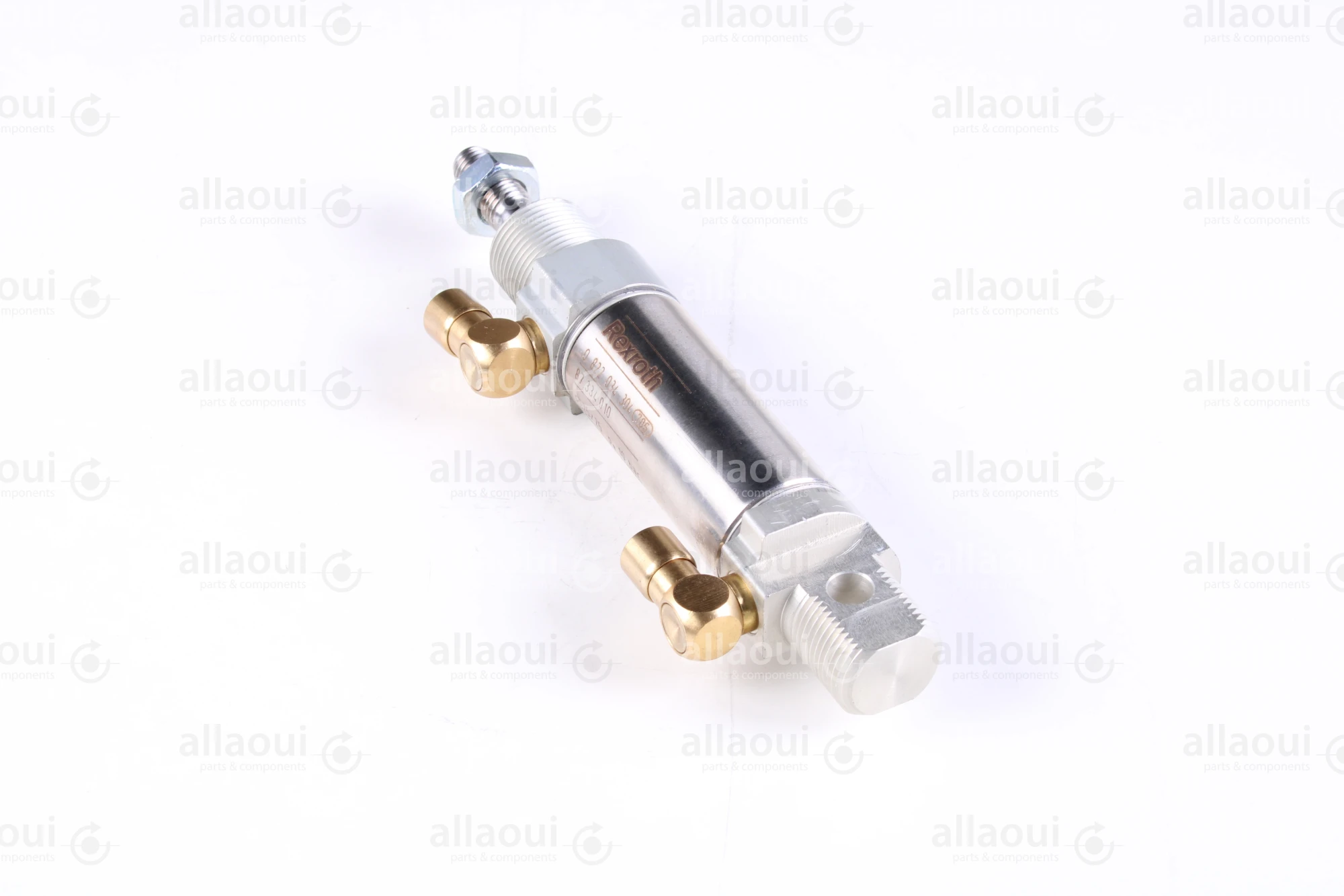 Bosch Rexroth Pneumatic Cylinder 0 822 034 304