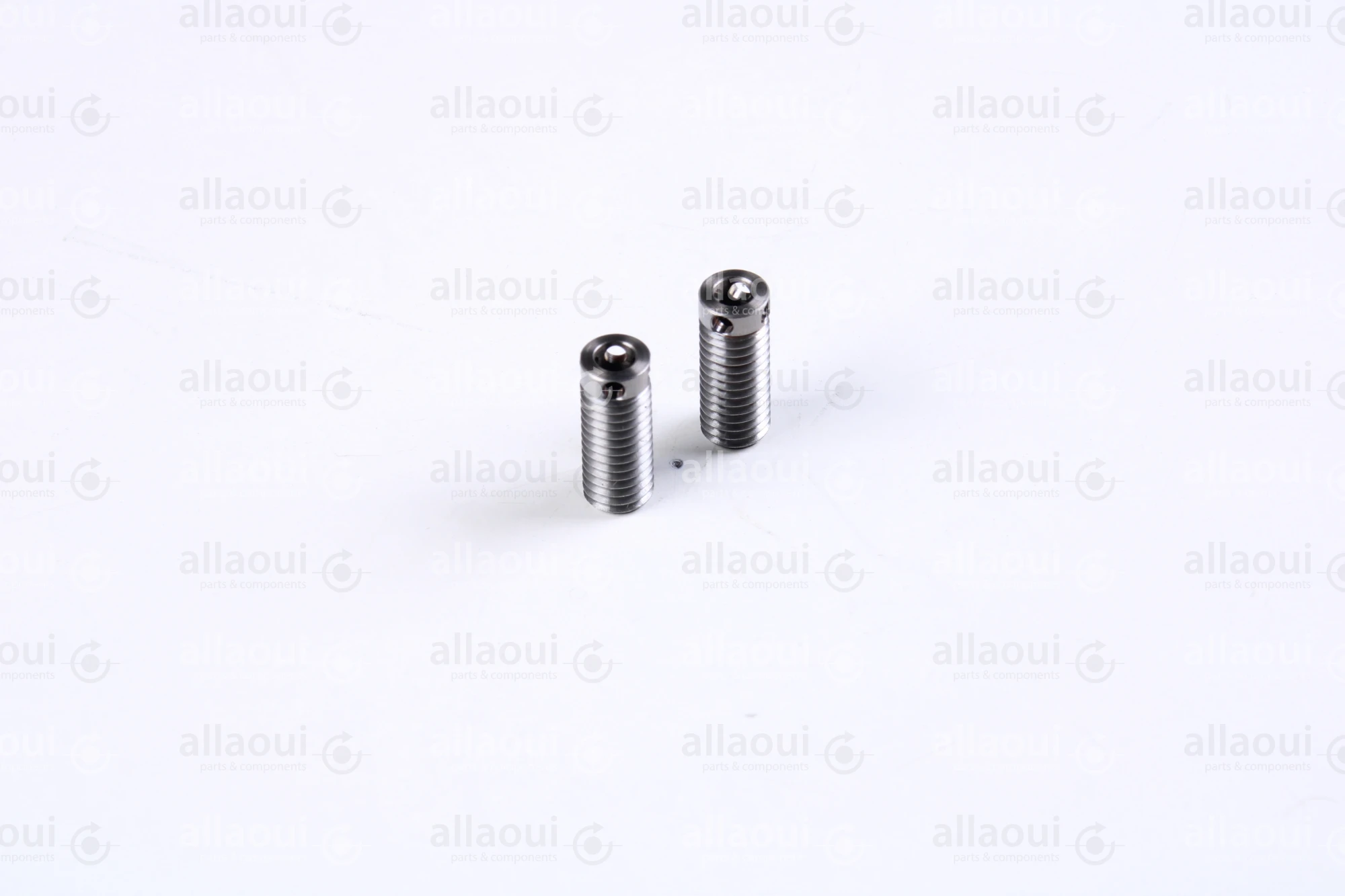 Müller Martini Screw (2 Pieces) 3675.2556.4 (2 Stück)