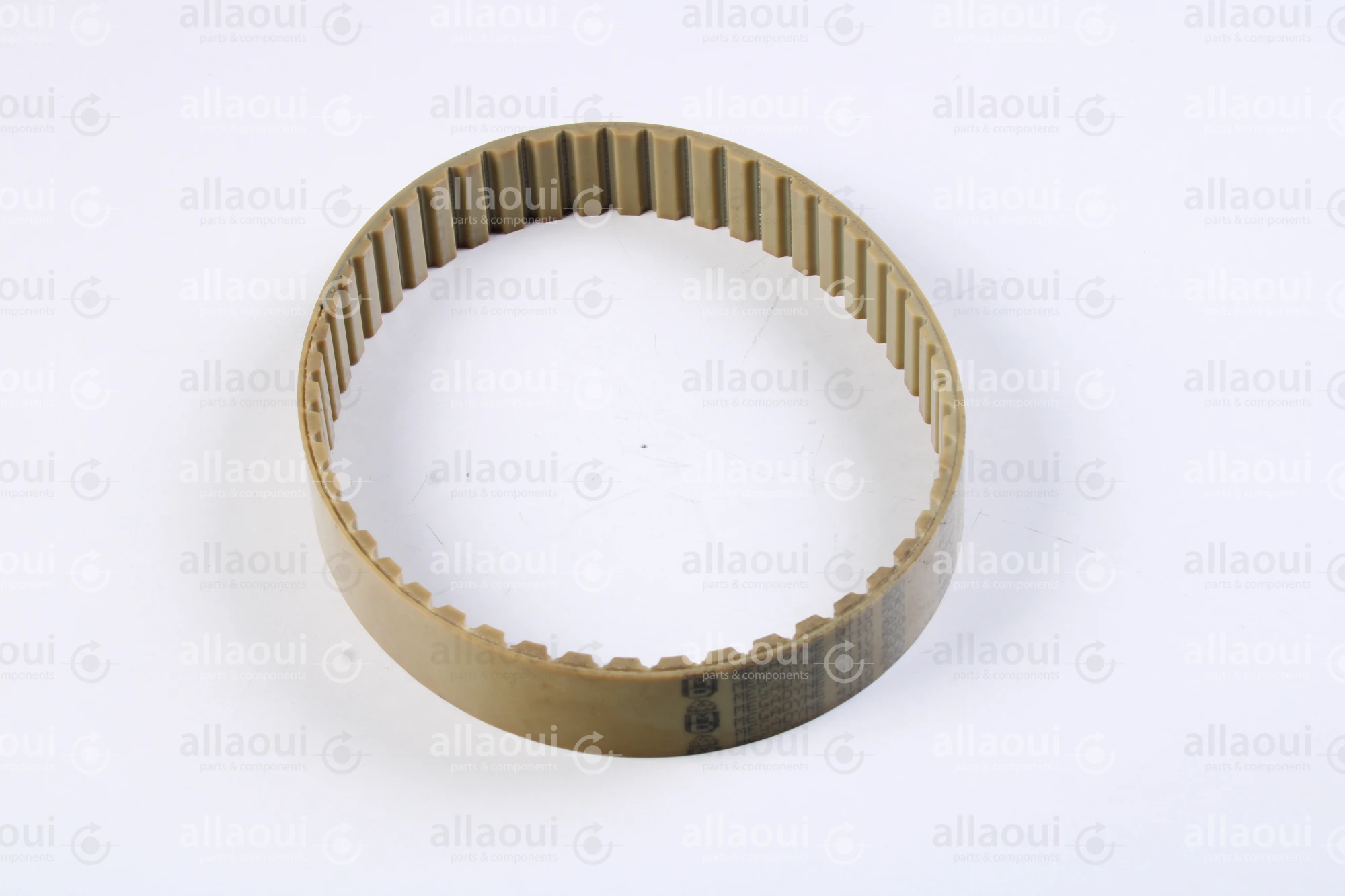 Müller Martini Timing Belt 3646.1267.4