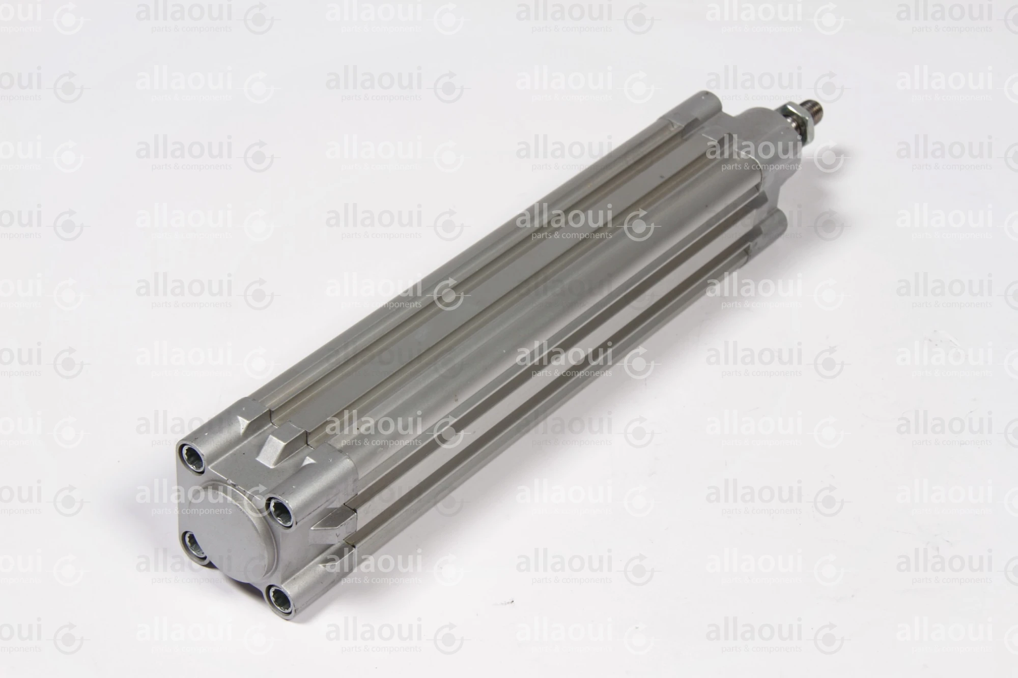 Festo Pneumatic Cylinder DNC-32-160-PPV-A