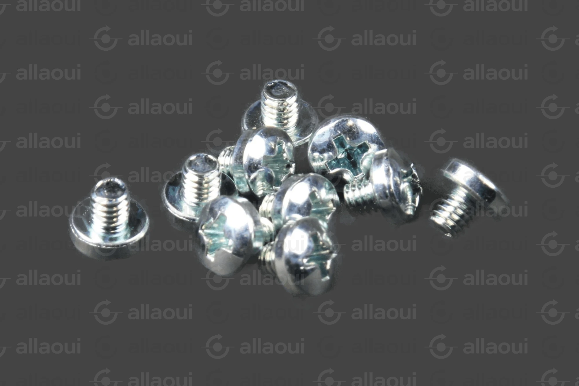 Manroland Lens Head Screw (10 pieces) 06.04201-4401 Manroland Lens Head Screw (10 pieces) 06.04201-4401