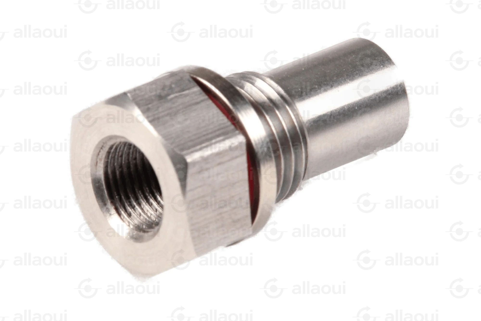 Planatol Check Valve 109027