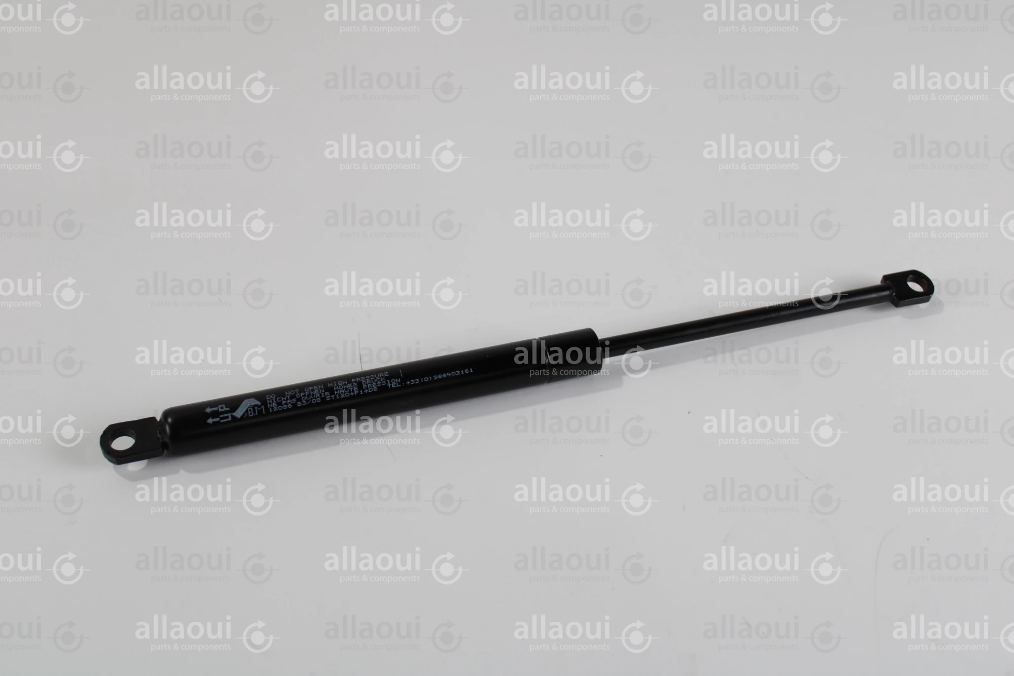 Berthold Marx Gas Spring 120200D8-1010