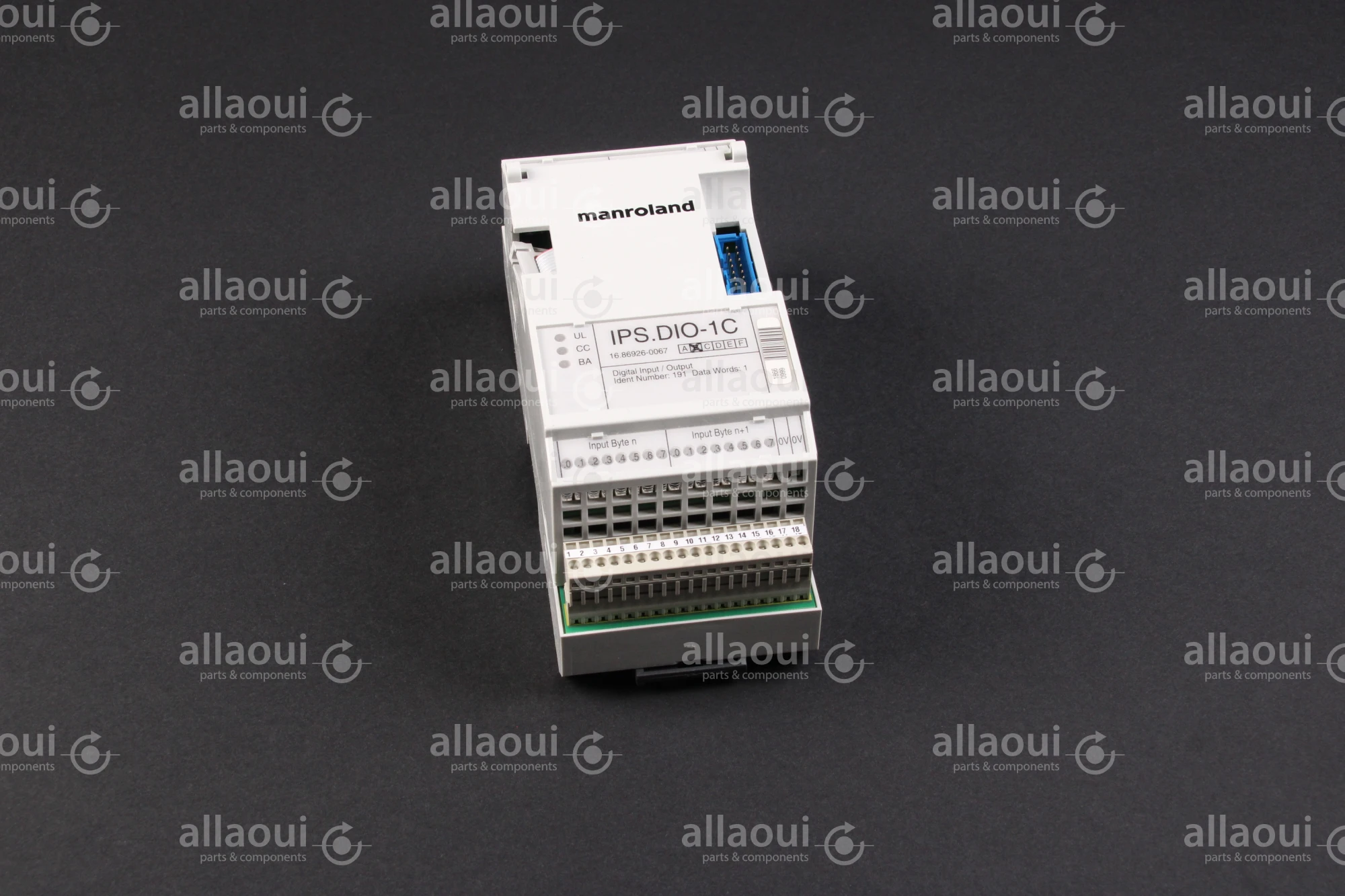 Manroland Interbus Module IPS.DIO-1C