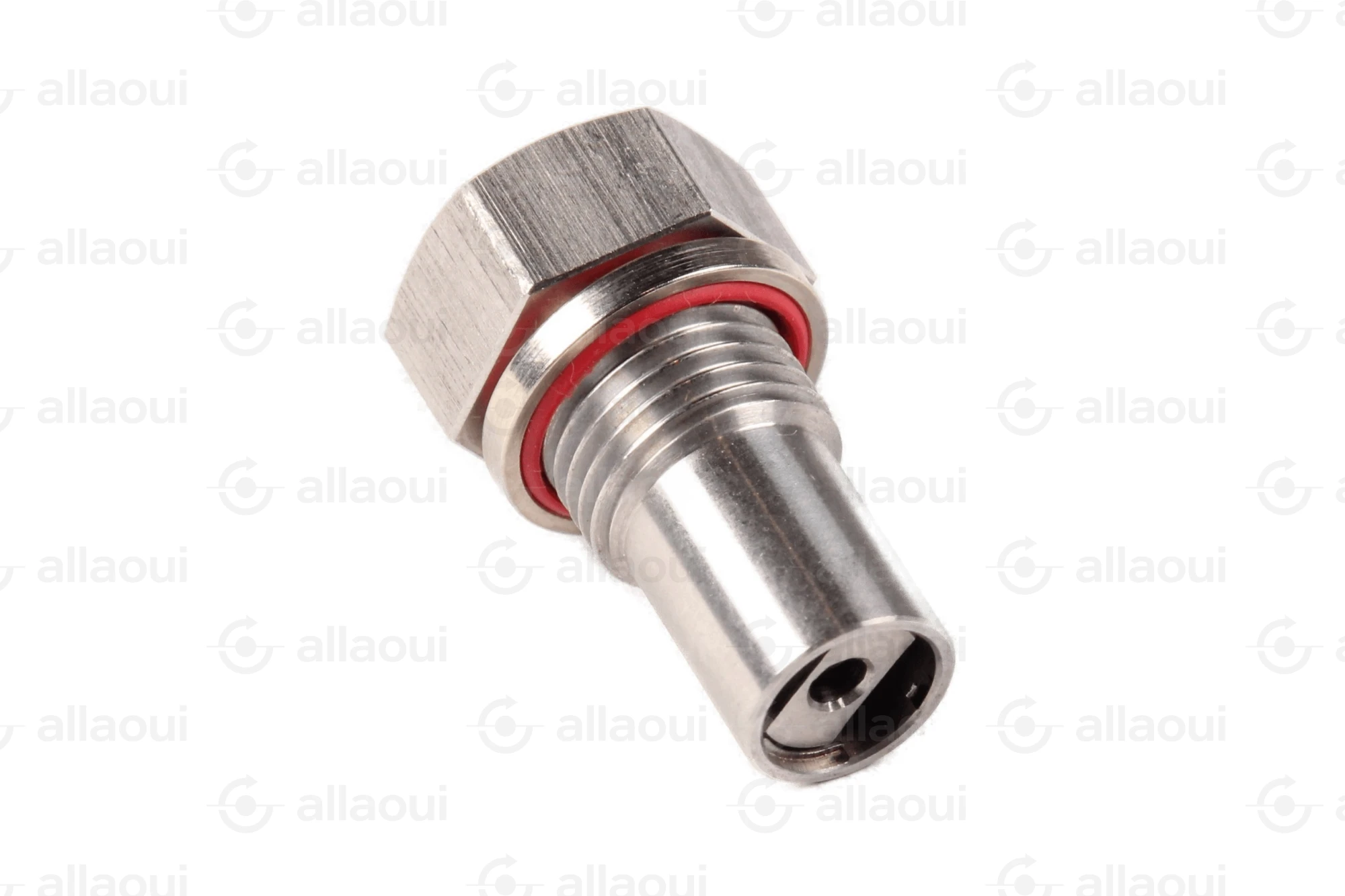 Planatol Check Valve 109027 Planatol Check Valve 109027