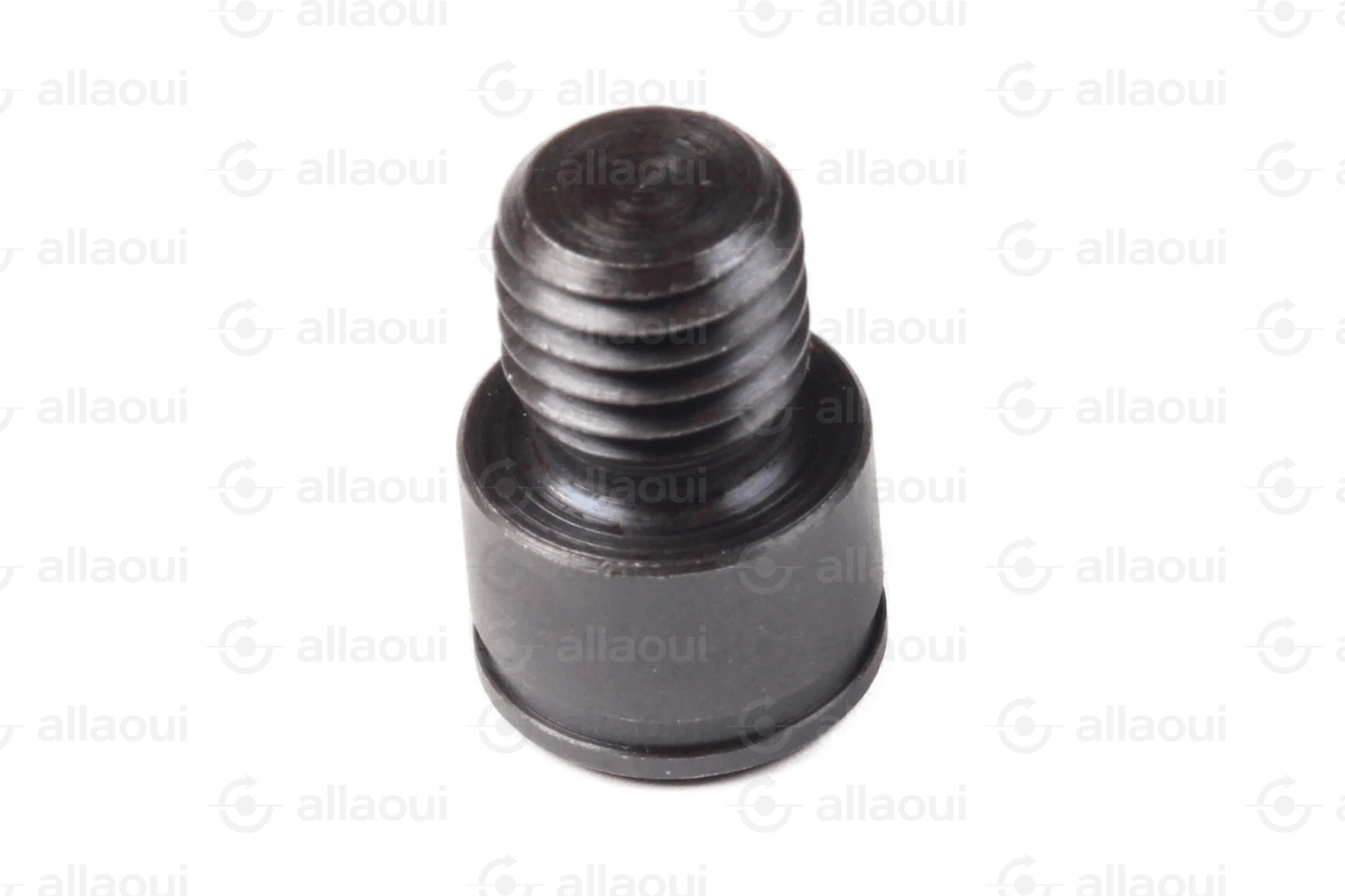 Manroland Fitting Screw 16.03495-4002