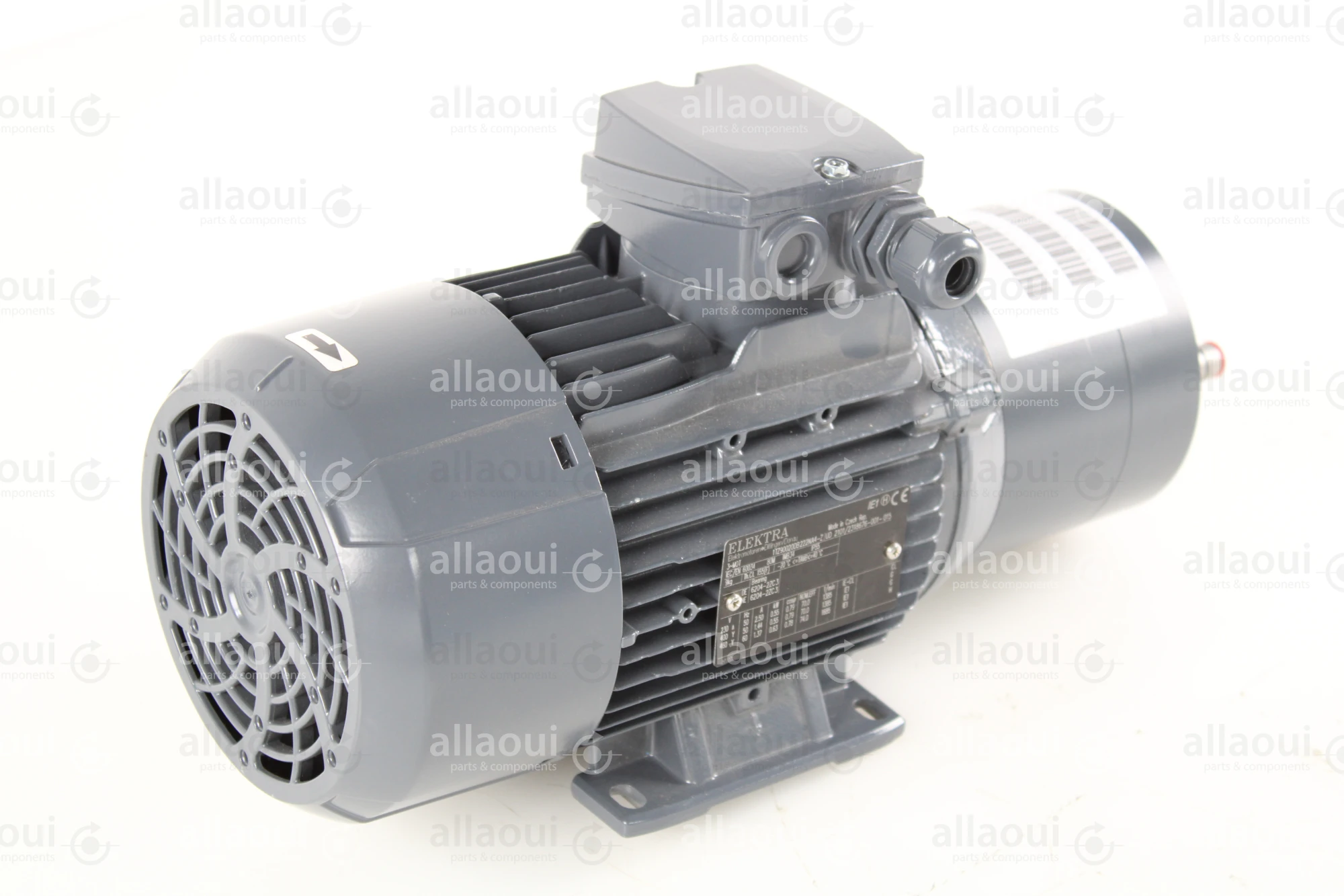 Elektra Motor 1TZ90020DB222NA4-Z