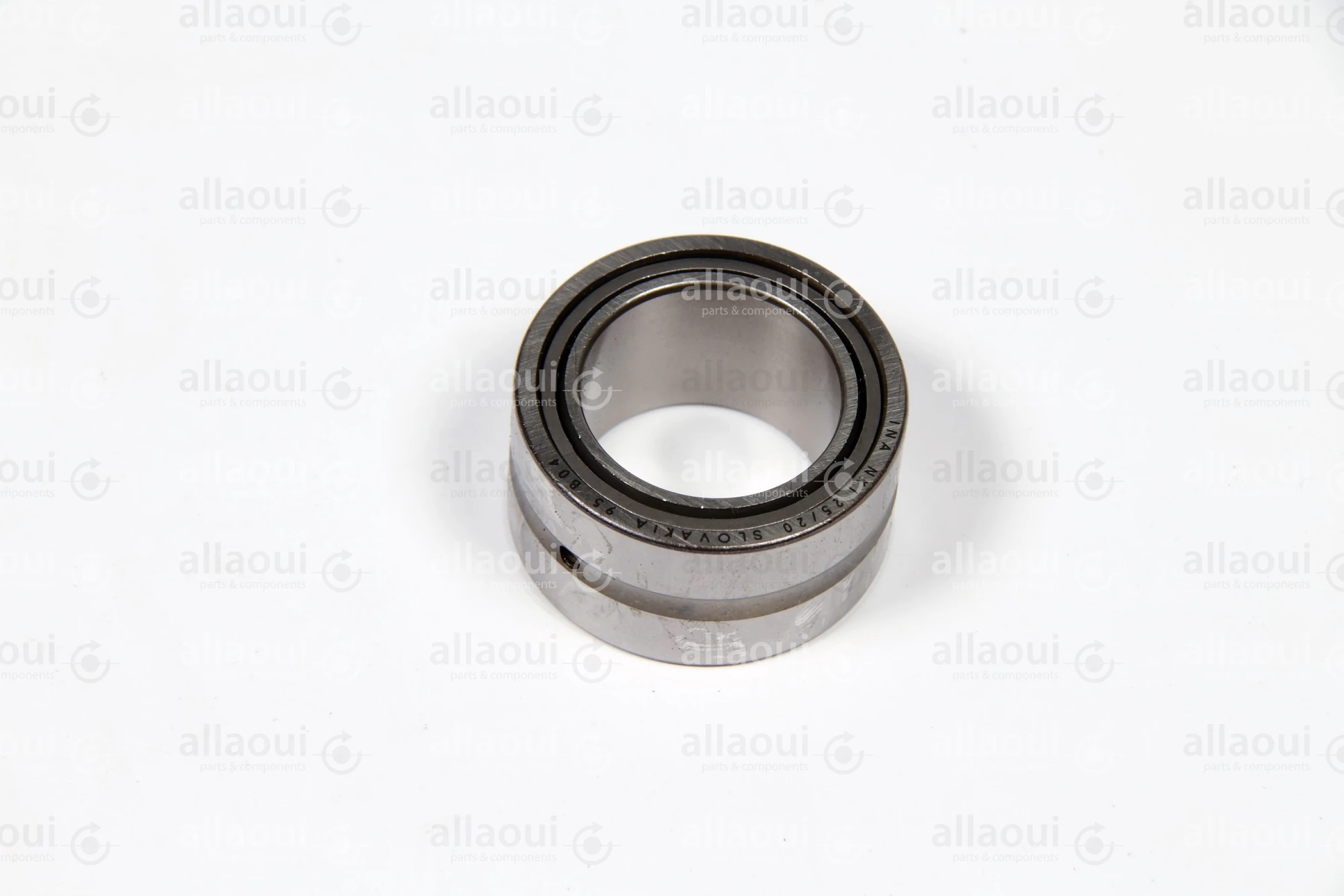 INA Roller Bearing NKI25/20