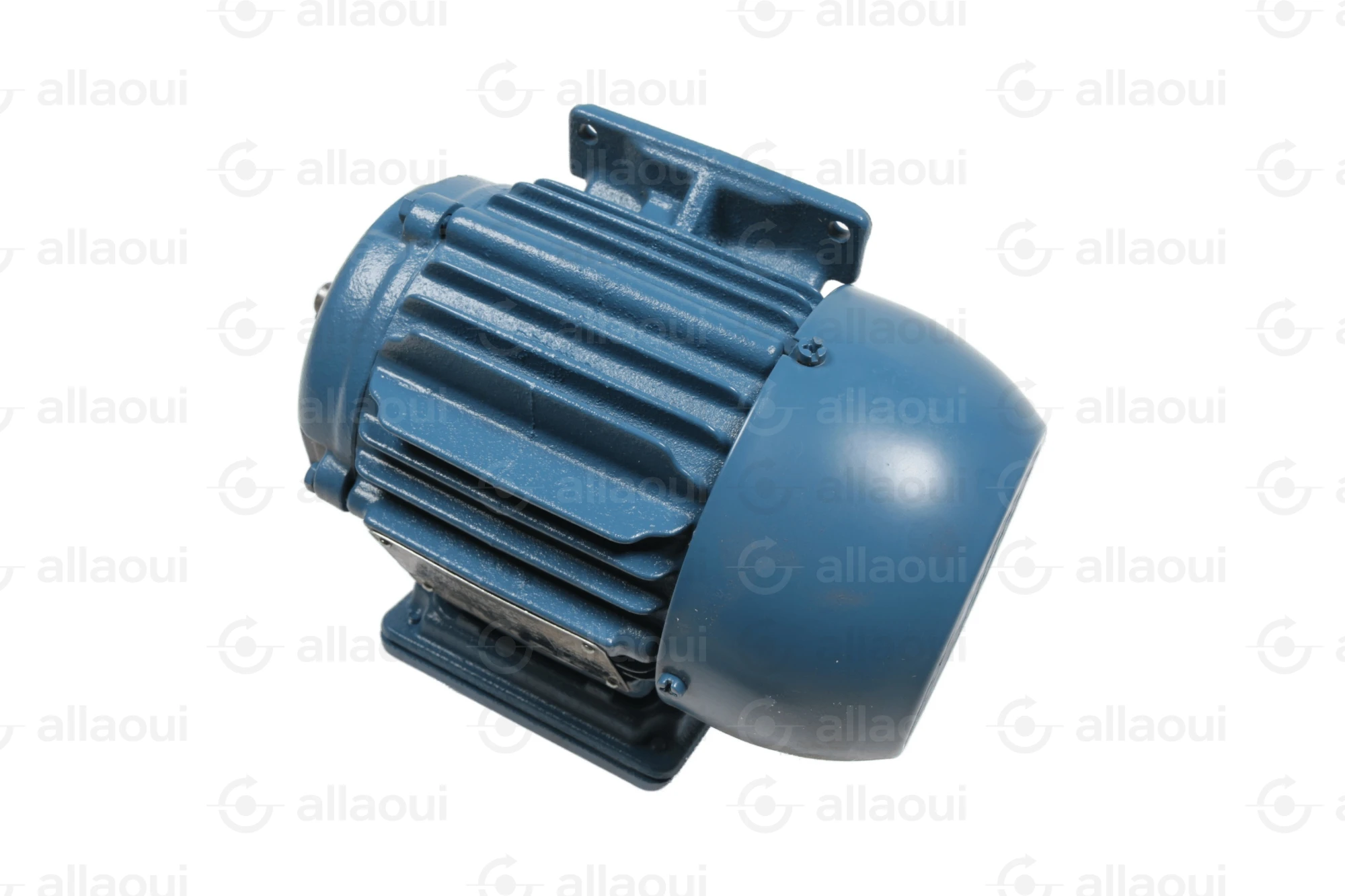 Weg Motor W22