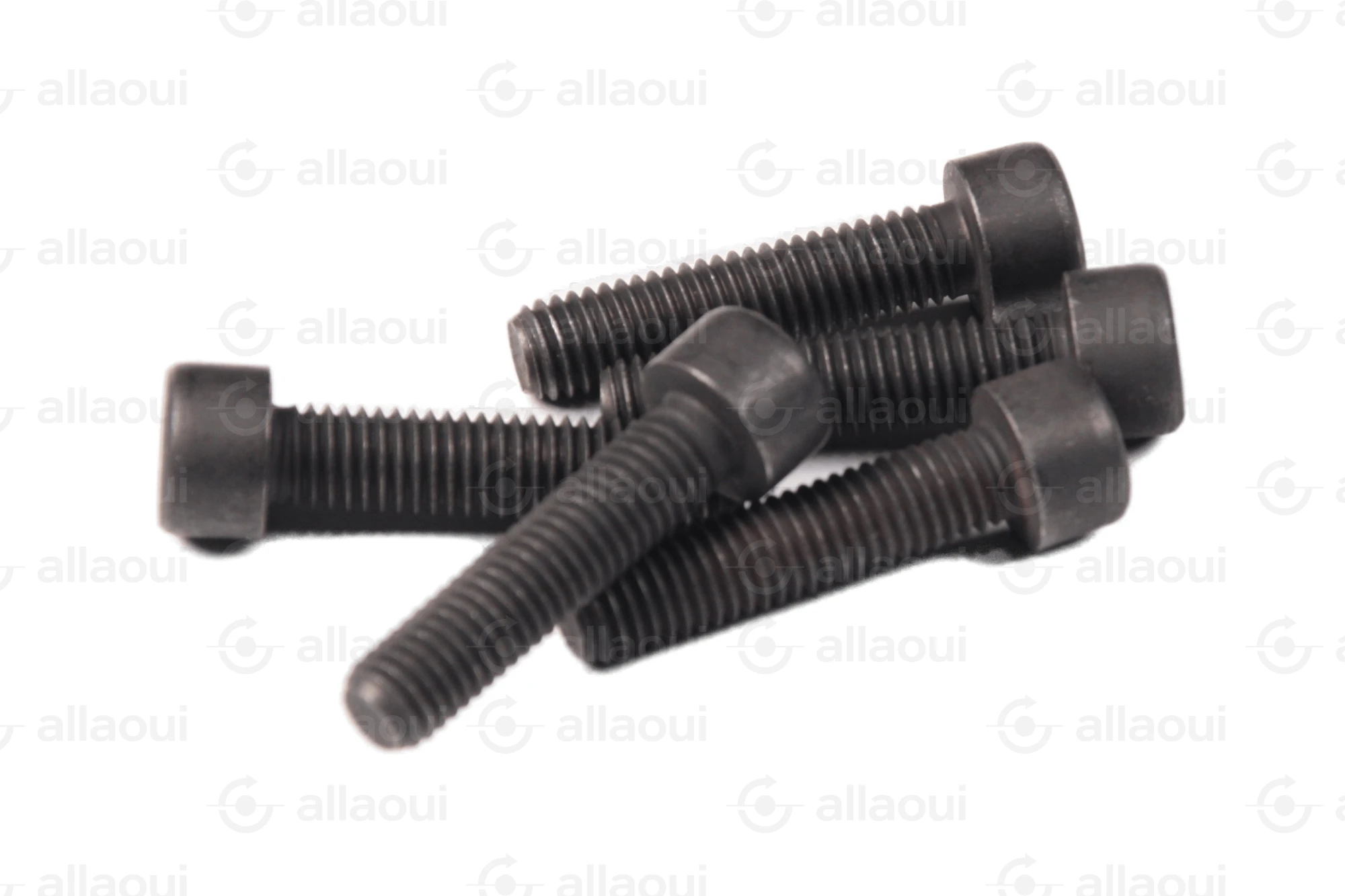 Manroland Cylinder Screw (5 pieces) 06.02093-0411