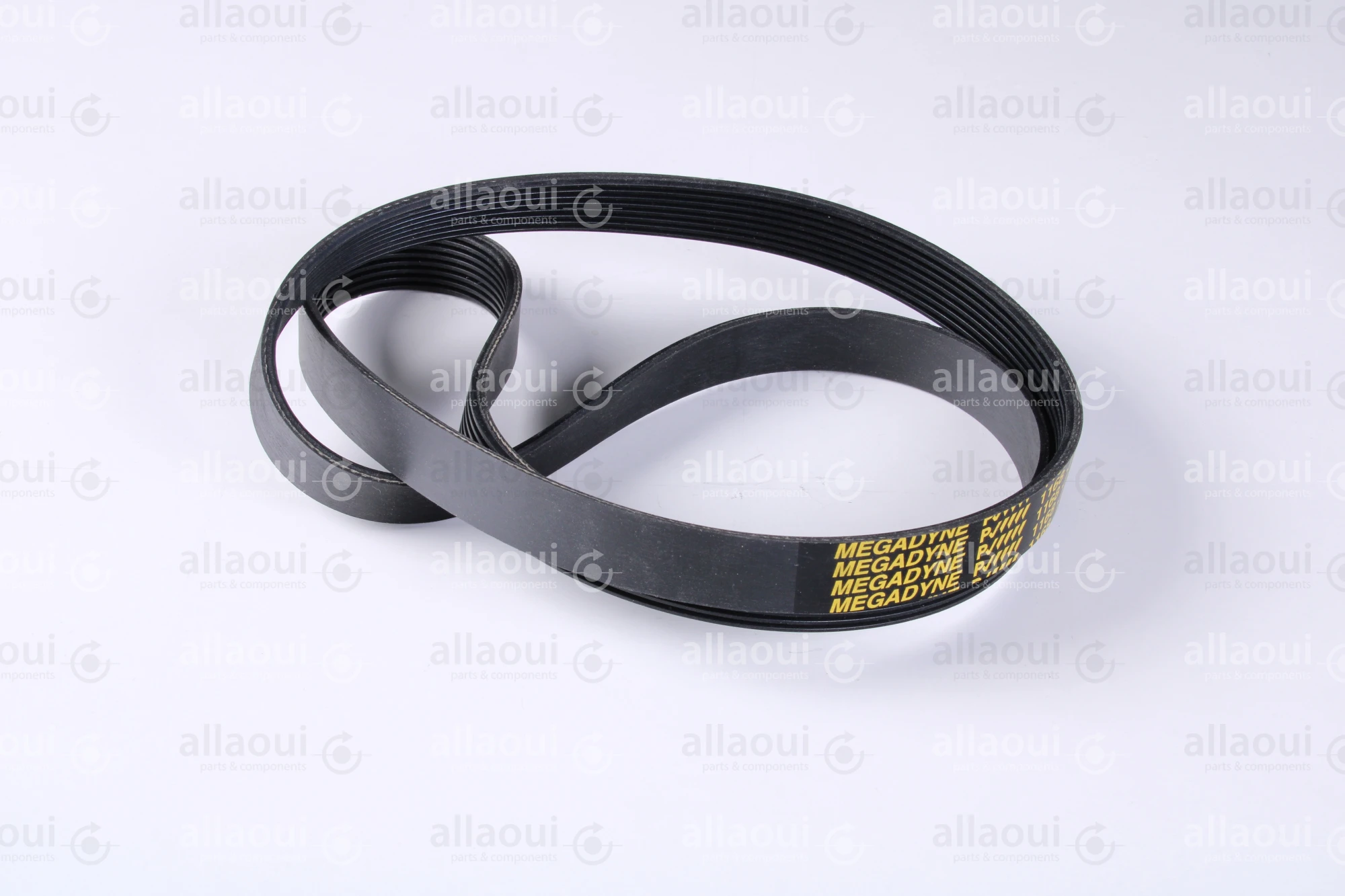 MBO Belt J8-1168 L 0107620