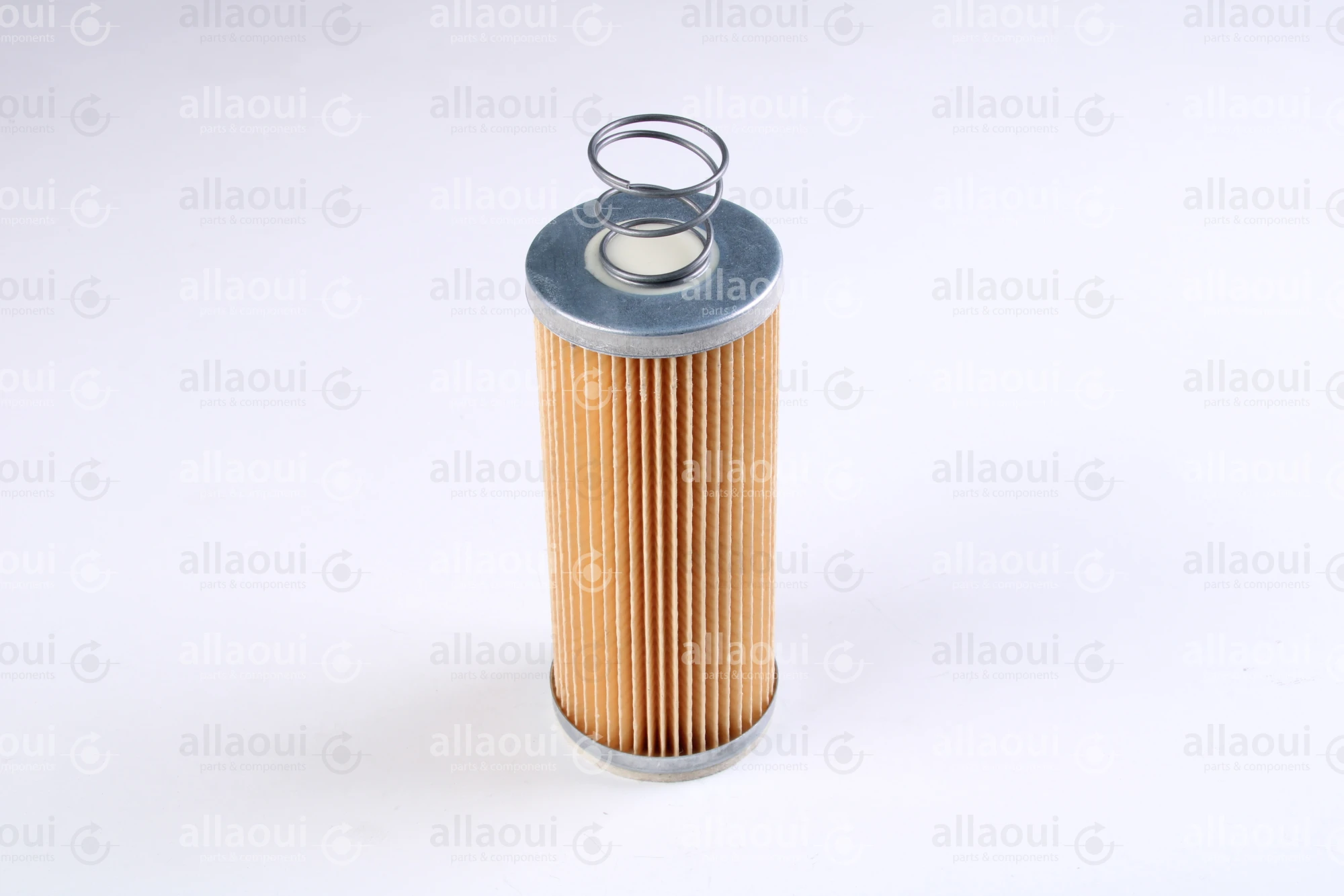 Birk & Blyme Oil Filter W920/17
