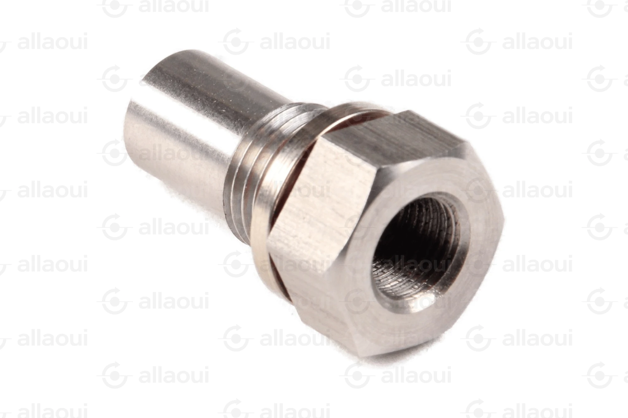 Planatol Check Valve 109027