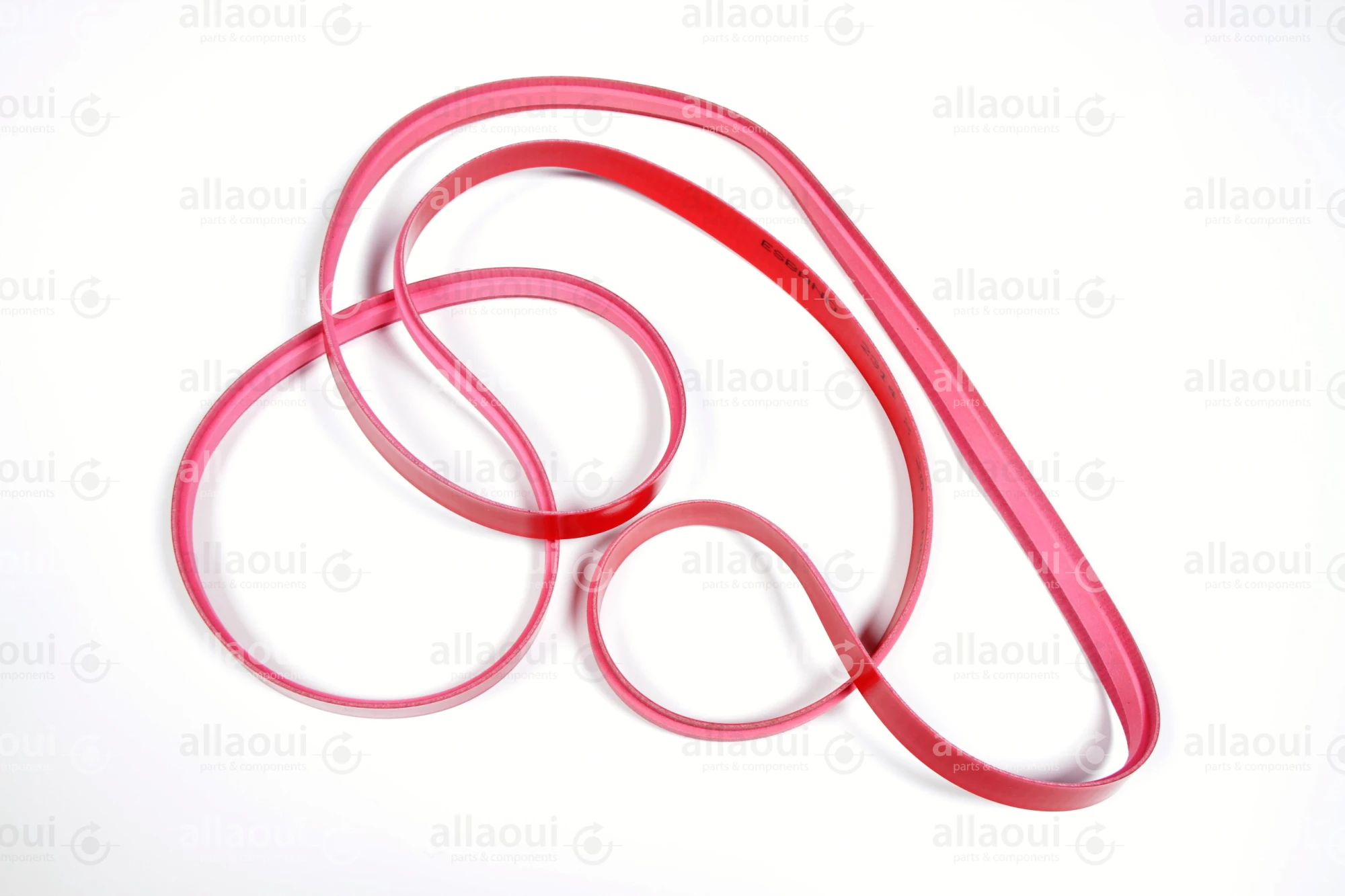 MBO Transport Belt 10.6400.0349