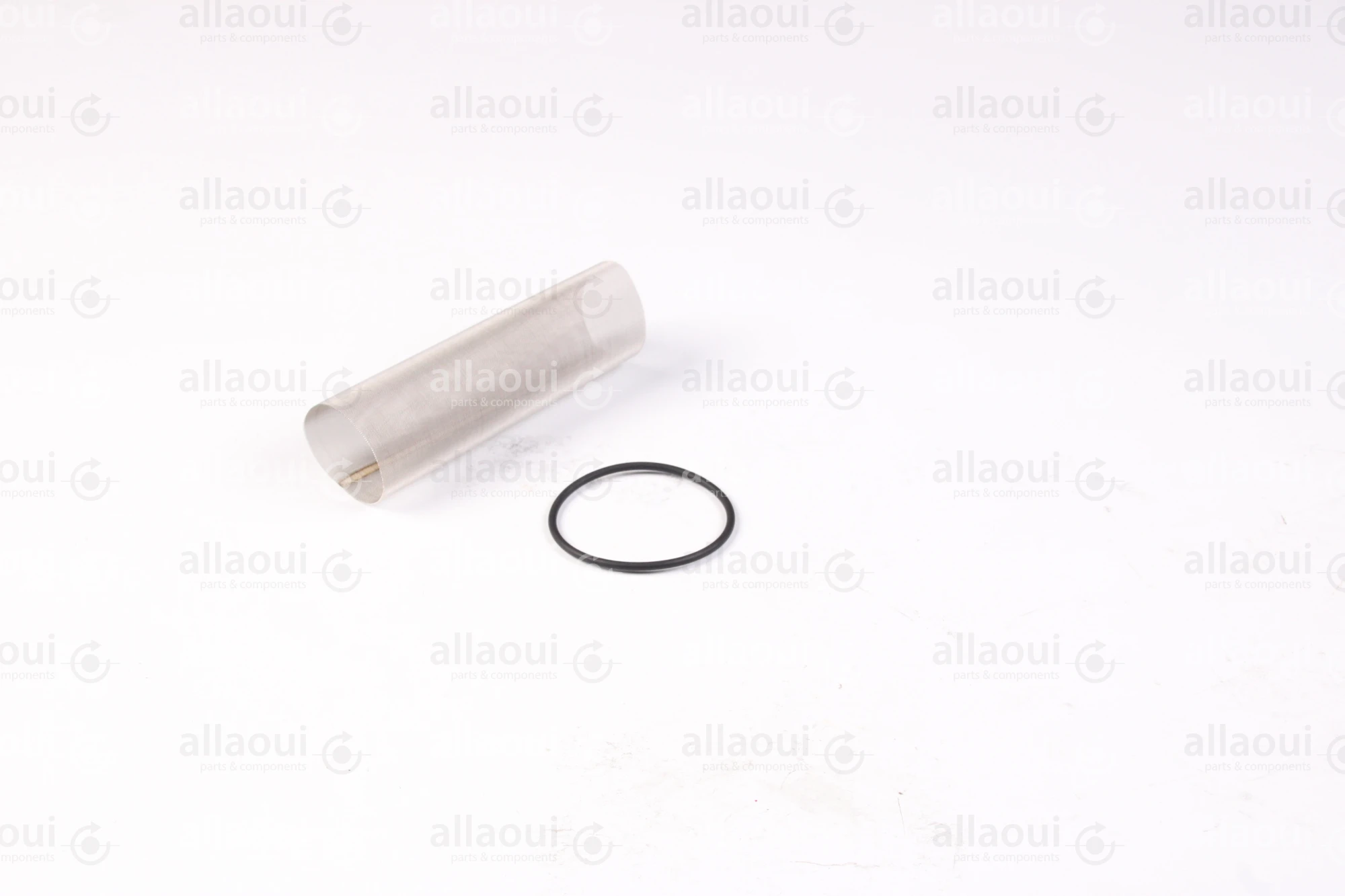 Technotrans Insert Filter 10038639