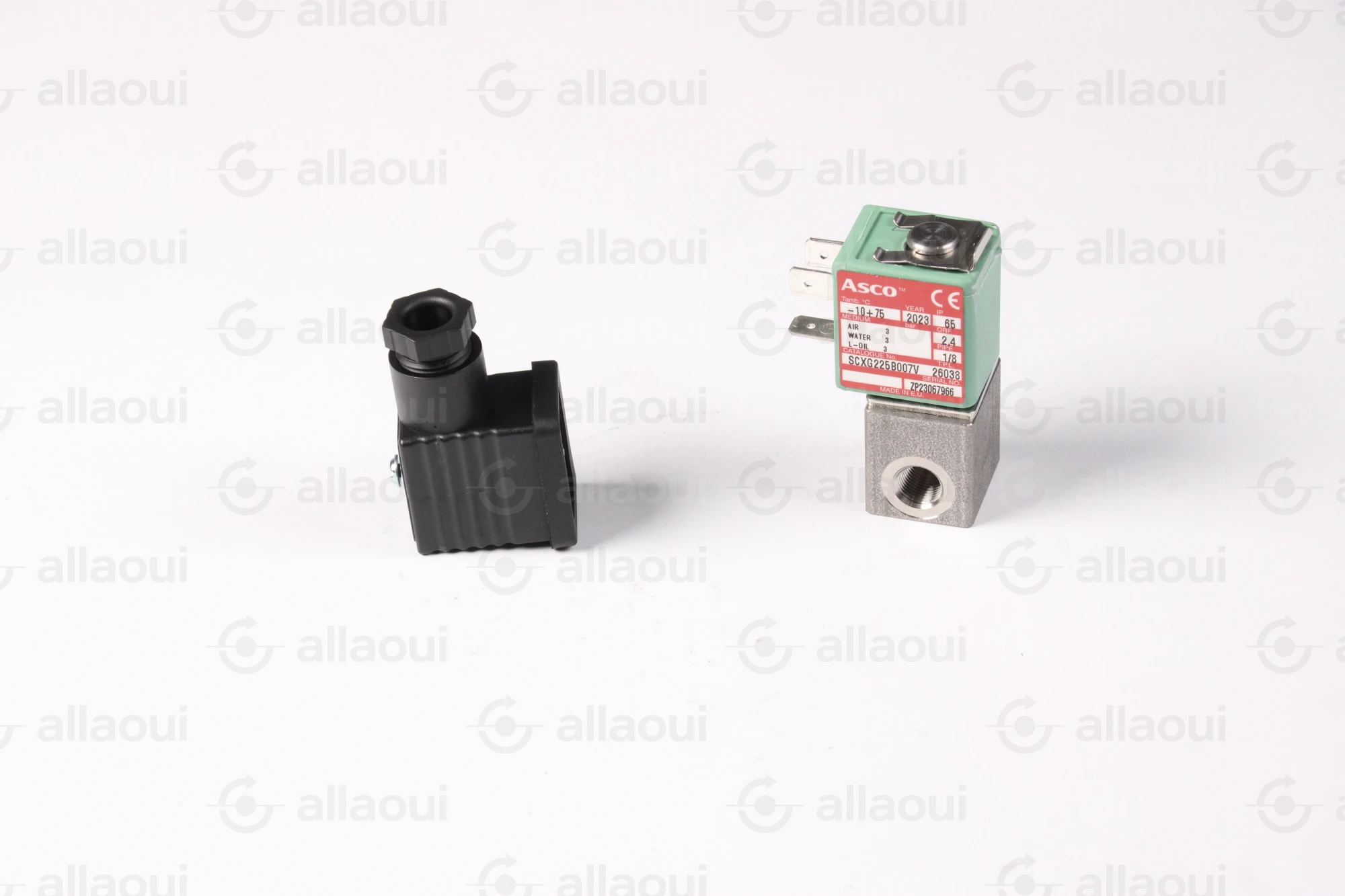 Asco Magnet Valve SCXG225B007V